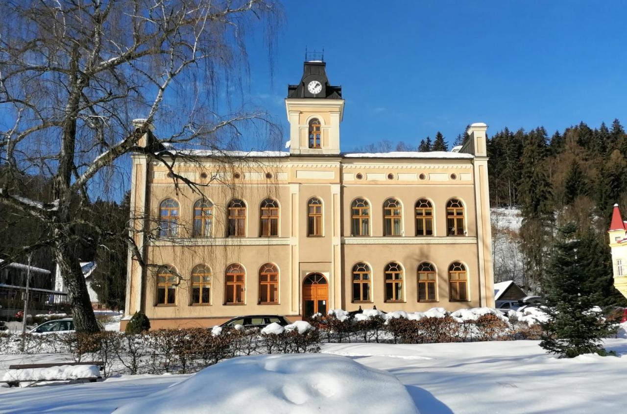 Pod Strechou Apartment Svoboda nad Upou Exterior photo